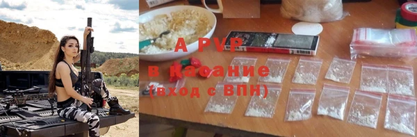 сатива Алексин