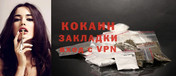 крисы Кулебаки