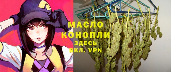 крисы Кулебаки