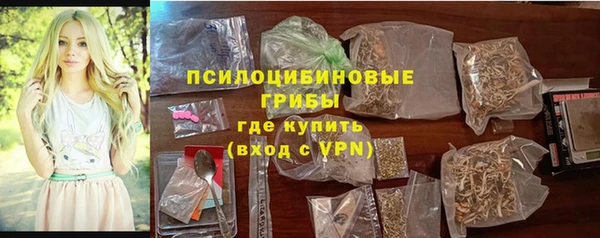 шишки Абаза