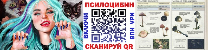 omg онион  Сураж  Псилоцибиновые грибы мухоморы  магазин  наркотиков 